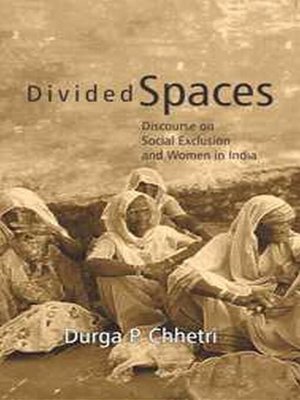 cover image of Divided Spaces